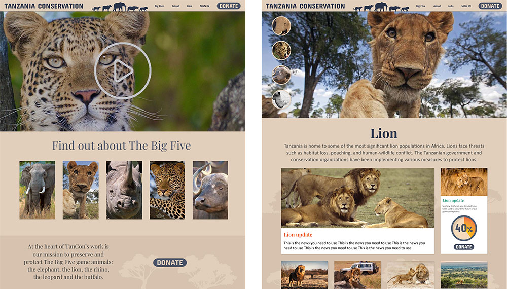 Tanzania Conservation TanCon big five